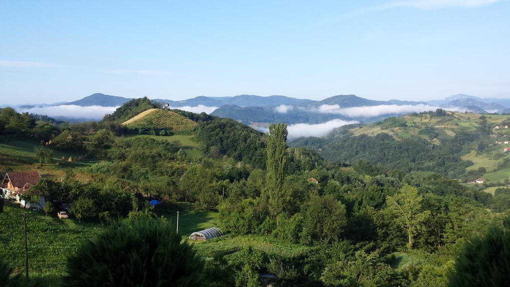 Lux Smestaj Ivanjicki Konaci Ivanjica Habitación foto